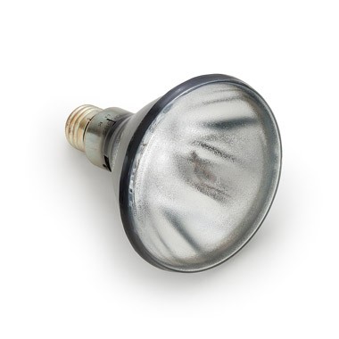 AMPOLLETA LUZ NEGRA 100W.1dm. PARA LAMPARA MAGNAFLUX