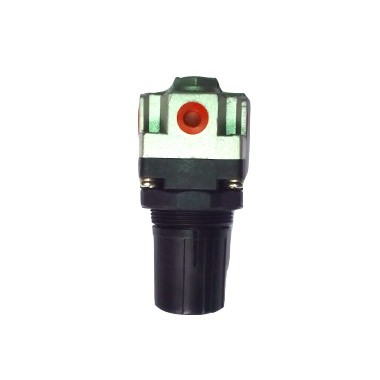 REGULADOR DE PRESION CONEX 1/4 INCH 550 LPM 7-125 PSI AR 2000 02 INCH